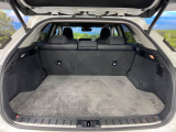 【パワーバックドア】スマートキーや運転席のボタンを押すだけでリアゲートが自動で開閉します!荷物を持っている時や、高い位置にあるバックドアを閉める際に便利な機能です♪