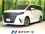 ガラスルーフ 両側電動ドア 全周囲カメラ 100V電源 衝突被害軽減シス