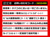 ヴェルファイア 2.5 Z ゴールデンアイズ リアモニ 両自 パワーバック