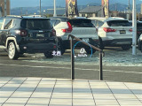 ◆全国納車可能です。納車方法及び費用につきましては、お気軽にコーディネーターまでご相談ください。遠方のご納車の際も我々がしっかりサポートさせて頂きます。お気軽にスタッフまでご相談下さい。