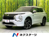 レーダークルーズ パワーバックドア AC100V電源 衝突軽減 ETC
