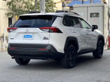 RAV4 2.0 アドベンチャー オフロードパッケージ II 4WD 