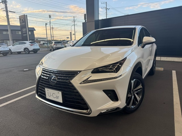 NX 300h Iパッケージ