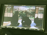 停車中にテレビ映像を楽しめる画面を備えています。車内で待ち時間を過ごす際にも活用でき、操作ボタンも画面の下にまとまっているため、項目を選びやすい構成です。