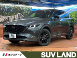 禁煙車/4WD/7人乗り/後席モニター/全周囲カメラ/純正10型ナビ