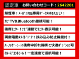 エルグランド 2.5 250ハイウェイスター アーバンクロム 両自 リアモニタ