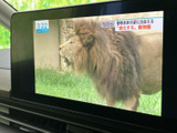 画面いっぱいに映像を表示でき、停車中の待ち時間もテレビ視聴を楽しめます。見やすい大画面で番組内容を確認しやすく、休憩中などに車内でくつろぎたいときに役立つ装備です。