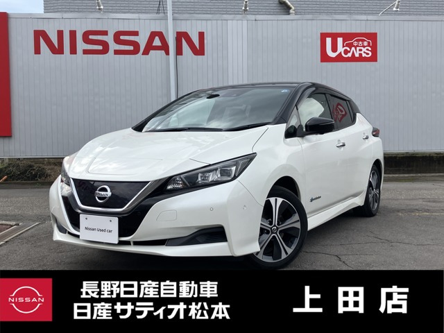 リーフ X 