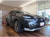 NX 300h Fスポーツ 
