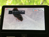 映像と番組情報を画面いっぱいに表示し、内容を確認しやすい設計です。車内で情報に触れたい場面に活用でき、日々の移動をサポートします。