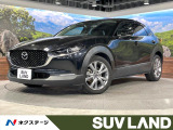 純正10型ナビ バックカメラ 禁煙車 レーダークルーズ パワーバックドア