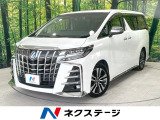 電動リアゲート 両側電動ドア レザーシート シートエアコン