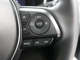 高速道路で便利なクルーズコントロールが付いています