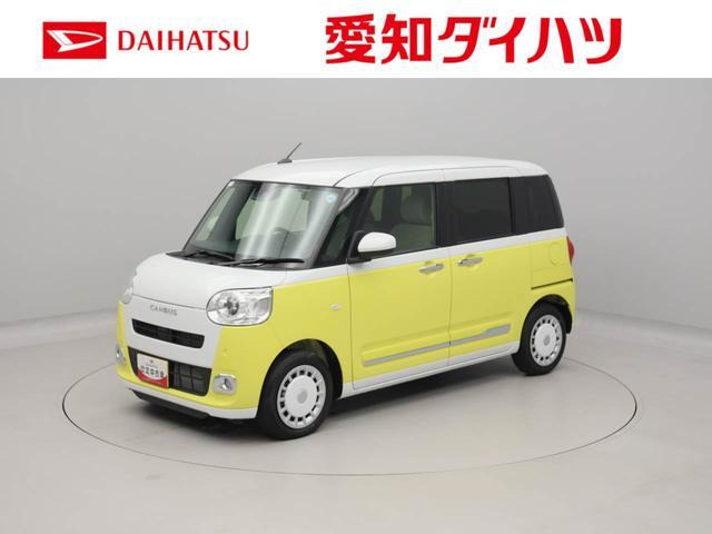ムーヴキャンバス  ストライプス G