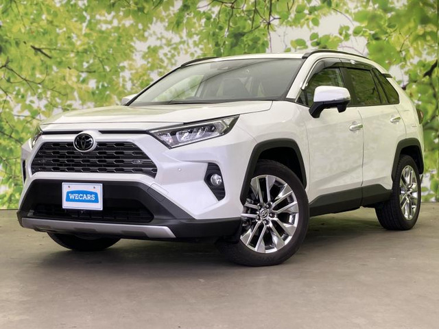 RAV4 2.0 G Zパッケージ 4WD
