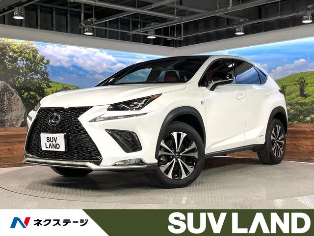 NX 300h Fスポーツ