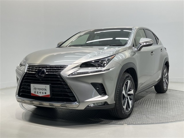 NX 300h バージョンL