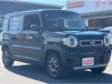 車両カスタマイズからキャンピングカーまで幅広くお取り扱い!国産車の新車販売もお任せください。お車のことならトーサイへ!