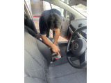 内装も隅々までしっかり拭きあげてご納車いたします!