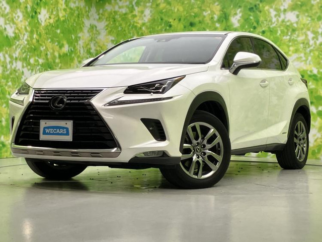 NX 300h バージョンL