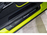 Kick-plates in carbon fiber - Shiny