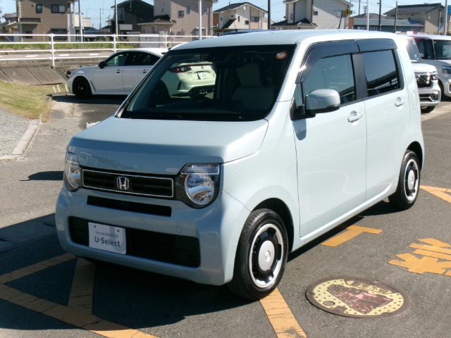 N-WGN L