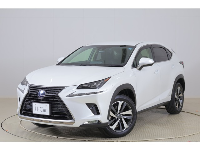 NX 300h Iパッケージ