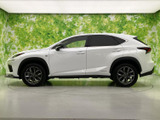NX 300h Fスポーツ 