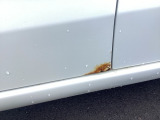 助手席ドアに錆ございます