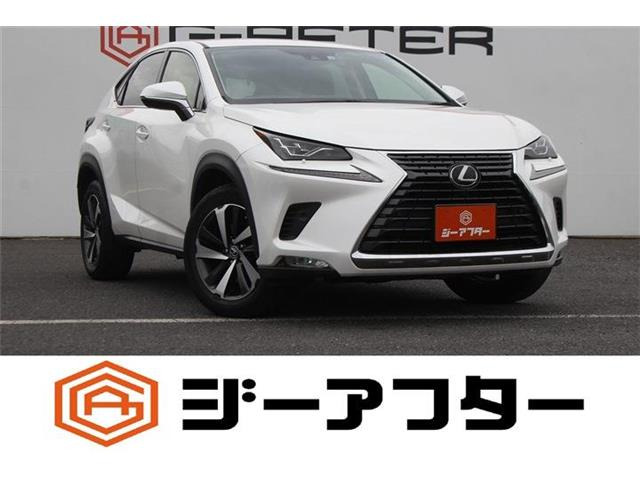 NX 300 Iパッケージ 禁煙車 純正8インチナビ バックカメラ