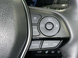 クルーズコントロール機能が付いています。 速度を設定するとアクセルを踏まなくても一定の速度で走ることができます。  高速道路ではとても便利な装置なんです。