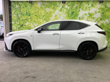 NX 350h Fスポーツ 