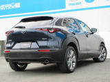 CX-30のエクステリアデザインは、小さなさざ波が周囲と連動しながら大きなうねりとなって拡散していく様子は、さながら光のアートです。