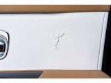 オプションのSoEエンボスが全てのドアに施されております。