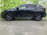 NX 350h