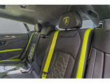 Verde Scandal Seat Belt
