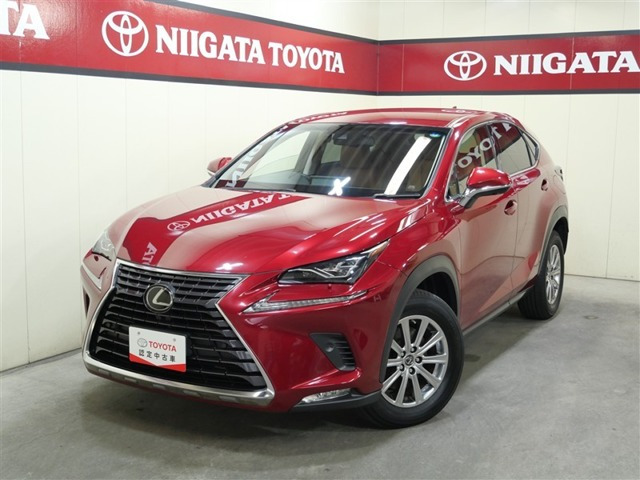 NX 300 Iパッケージ 4WD