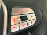 マルチファンクションステアリング 電話やオーディオシステムを快適かつ安全に操作する事ができます。