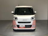 ムーヴキャンバス  ストライプス G