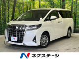 後期 両側電動スライド 純正10型ナビ フリップダウン バックカメラ