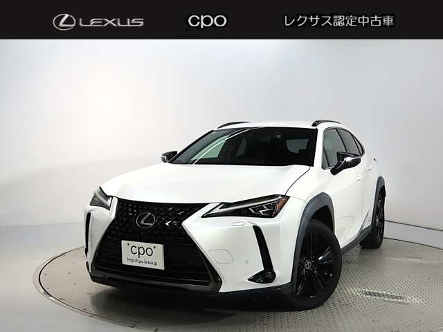 UX 250h