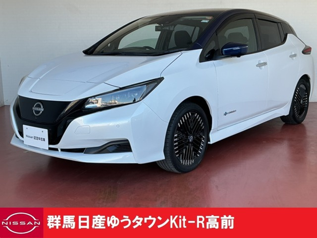 リーフ  X Vセレクション