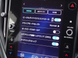 車両機能の各種設定も、センターディスプレイで操作可能です