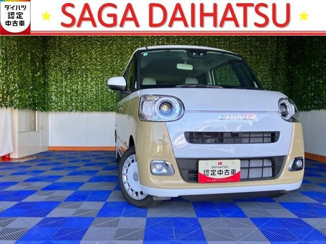 ムーヴキャンバス  ストライプス G