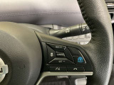 プロパイロット装備車になります
