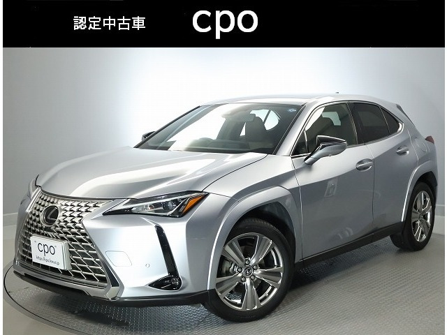UX 250h グレイスフル エクスプローラー 