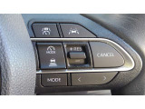 高速道路で前の車に合わせて車間調整し追従してくれるレーダークルーズコントロール。車線の間をはみ出さないようにキープしてくれるレーンキープアシストの操作スイッチです。