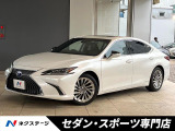 セーフティシステムプラス ブラインドスポットモニター 3眼LEDヘッド