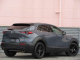 CX-30のエクステリアデザインは、小さなさざ波が周囲と連動しながら大きなうねりとなって拡散していく様子は、さながら光のアートです。