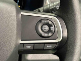 車速を設定すれば車が速度を合わせくれるので高速道路も楽々!